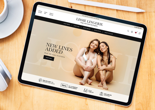 <strong>Boost Your Online Sales</strong> with a High-Converting E-commerce  Website Design
