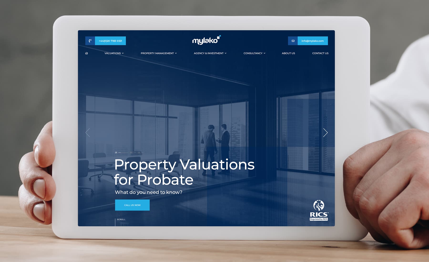 Chartered Surveyors Brochure Website